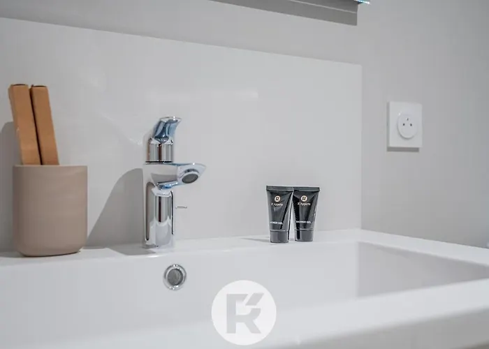 R'apparts La D'albert T2 גרנובל